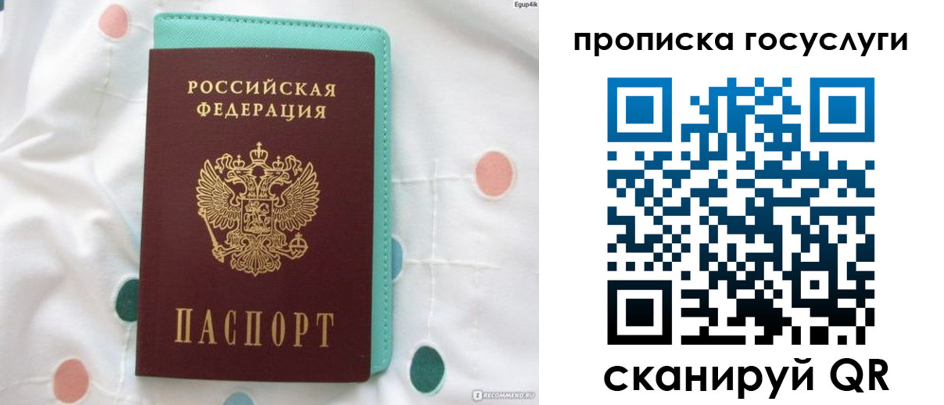 прописка поиск в Ингушетии